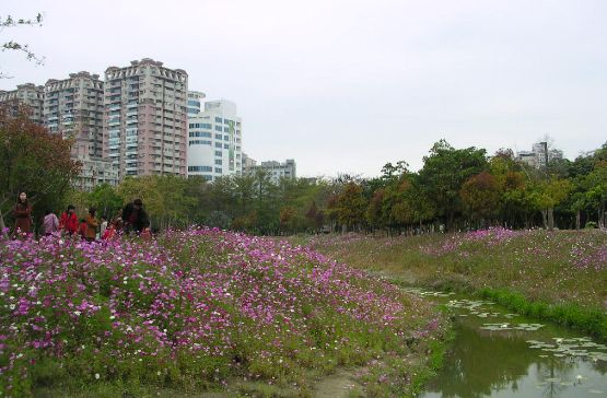 Tainan_spring.jpg