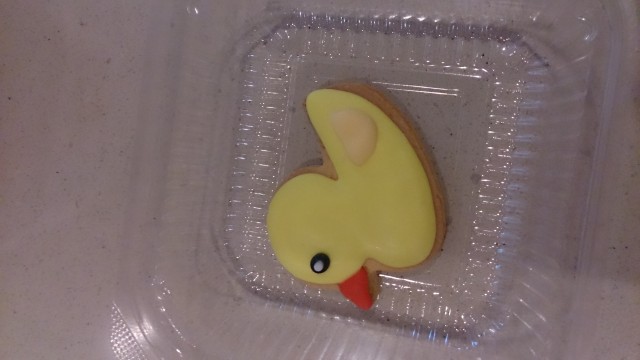 DSC_0093.jpeg