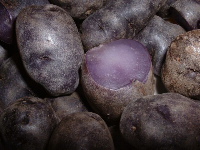 PurplePeruvianPotatoes.jpg