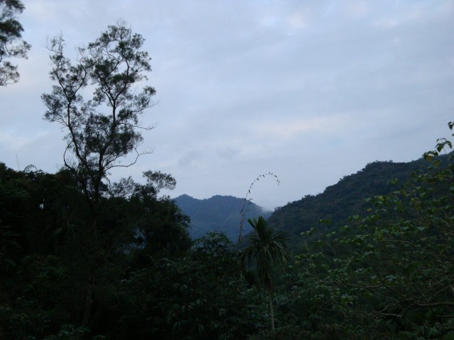 DSC08486.JPG