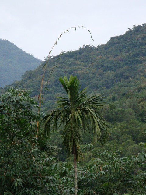 DSC08563.JPG