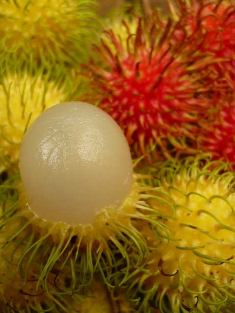 rambutan.jpg