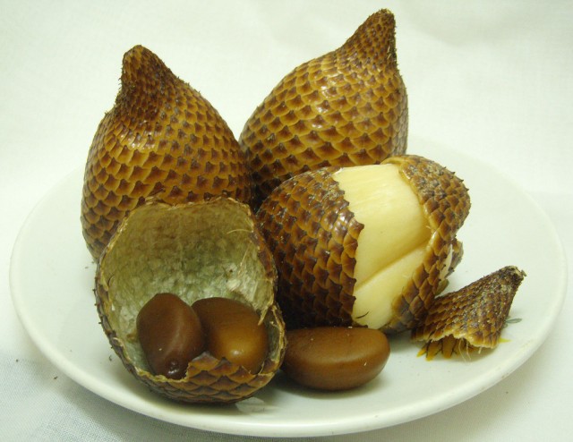 snake fruits.jpg