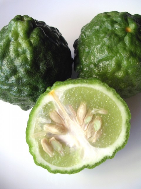 kaffir lime.jpg