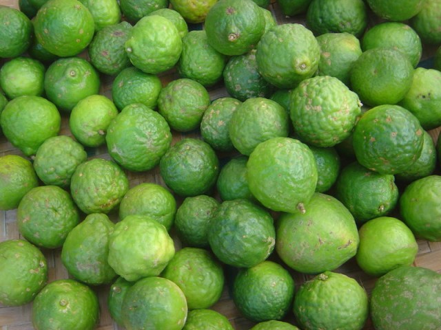 Citrus_hystrix.kaffir lime.jpg