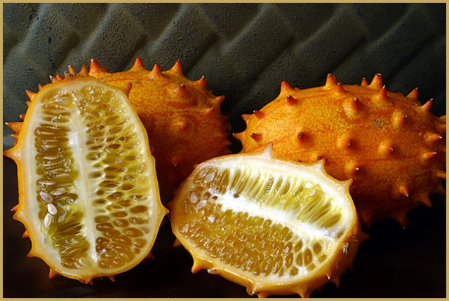 030215kiwano2036.jpg