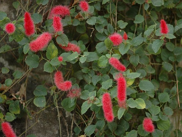 f74922.jpg