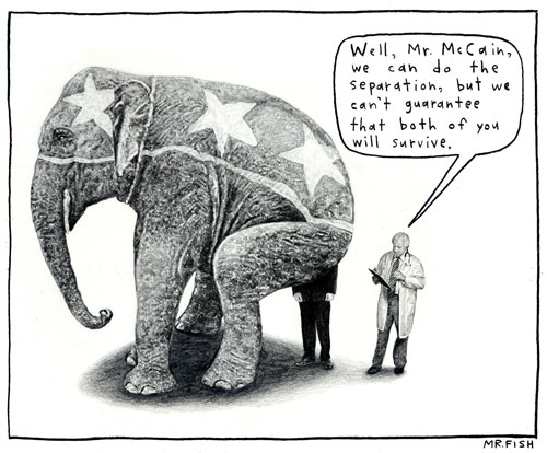 TheElephant anus.jpg